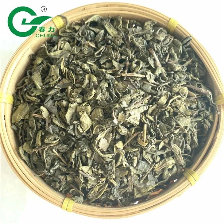 গানপাউডার সবুজ চা মুক্তা